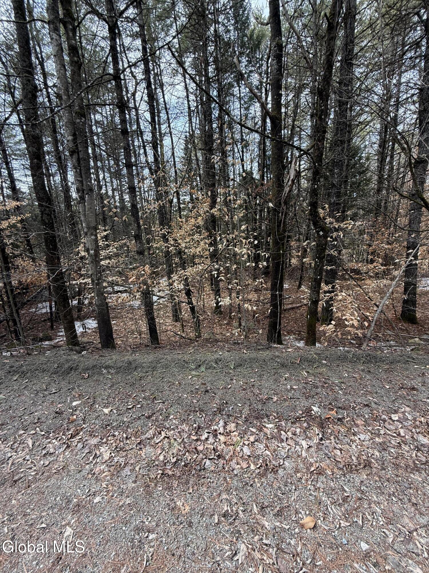 L10 Stone Bridge Road Pottersville NY 12860