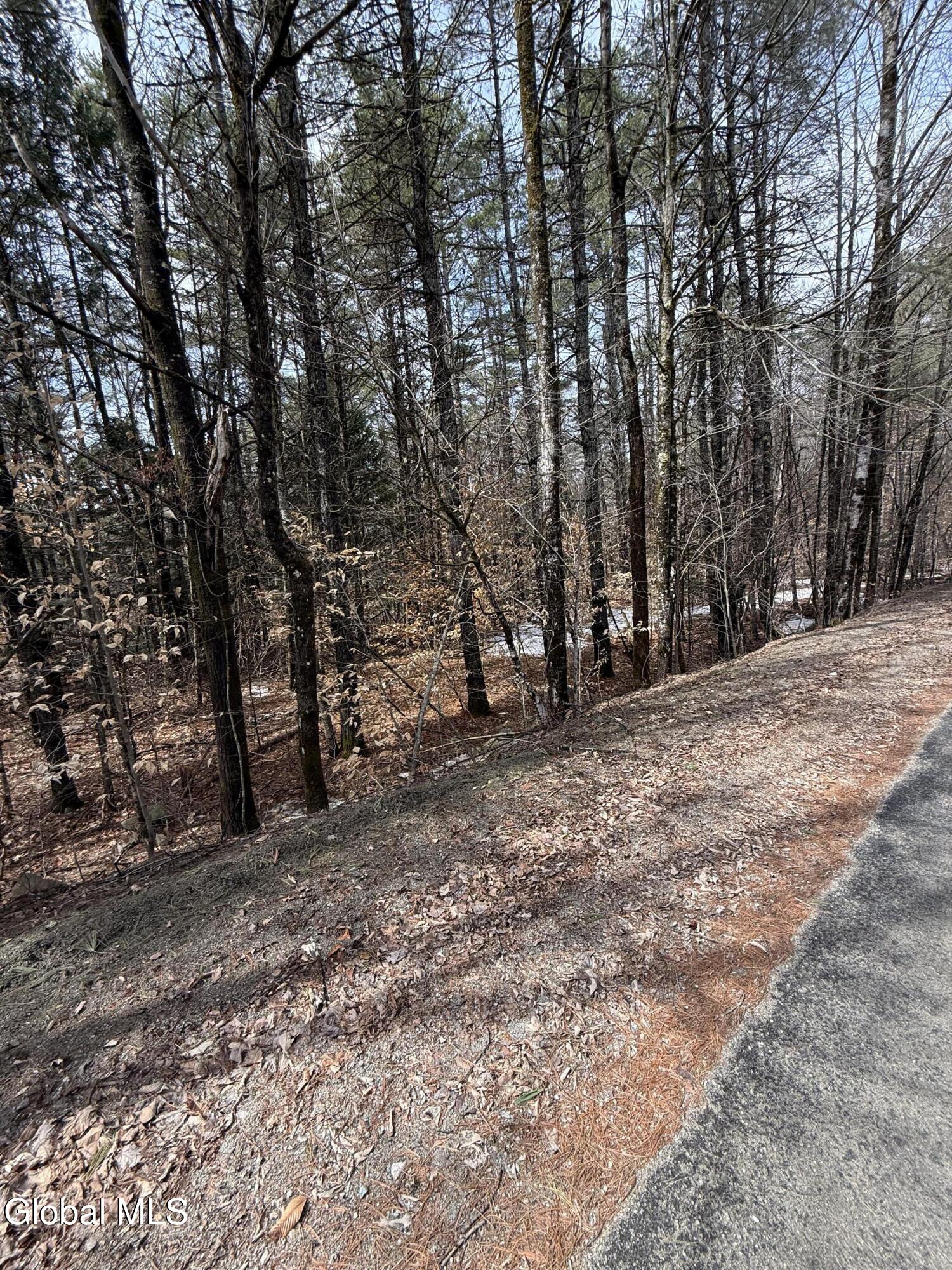 L10 Stone Bridge Road Pottersville NY 12860