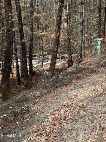 L10 Stone Bridge Road Pottersville NY 12860