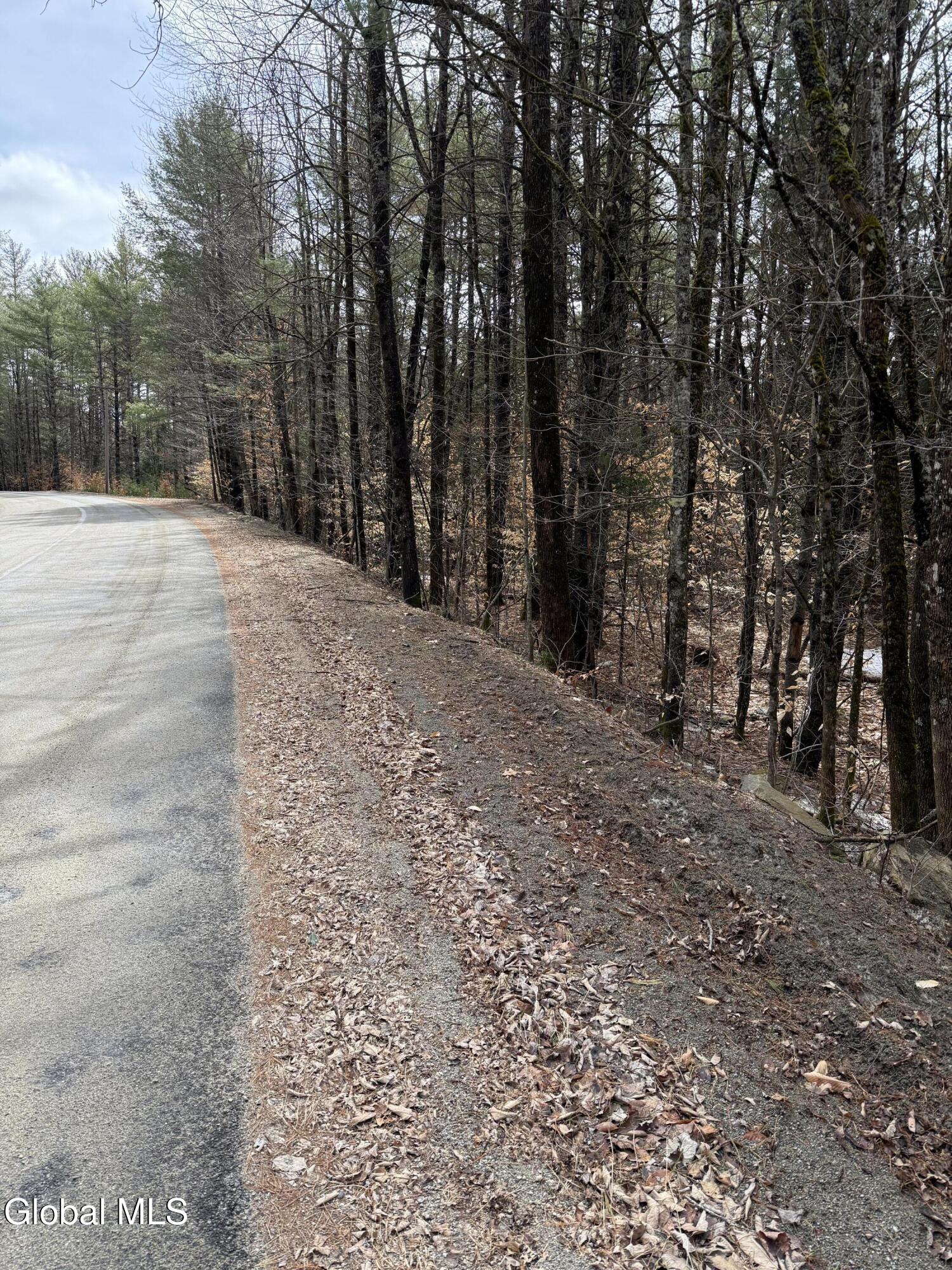 L10 Stone Bridge Road Pottersville NY 12860