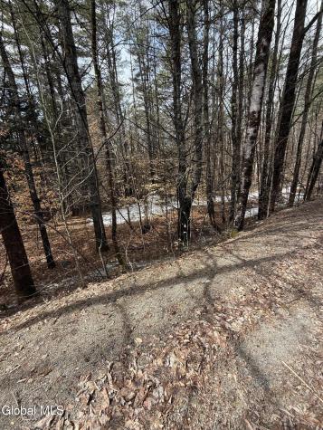 L10 Stone Bridge Road Pottersville NY 12860