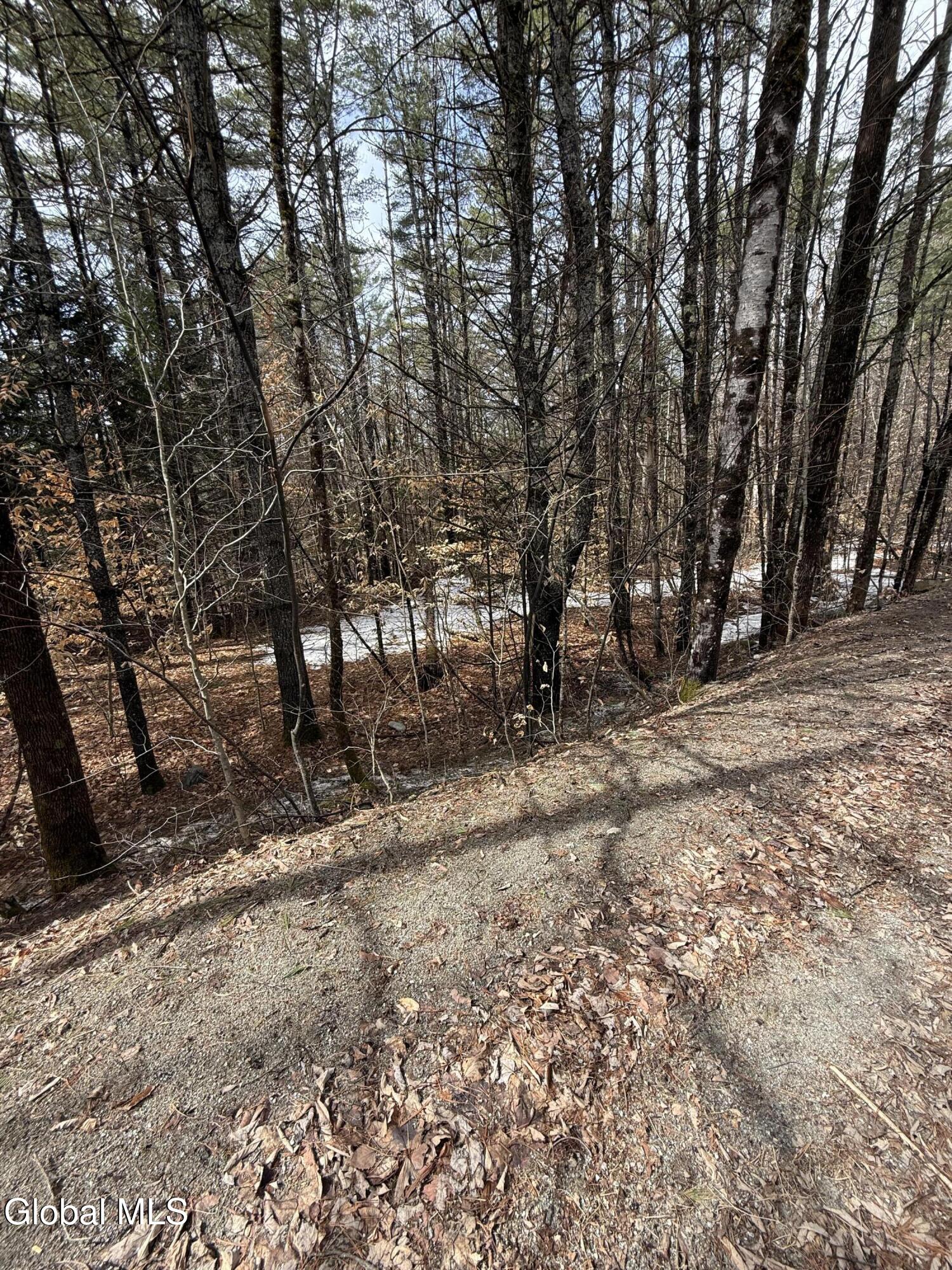 L10 Stone Bridge Road Pottersville NY 12860