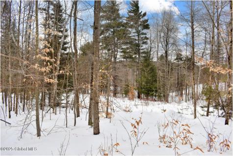 L86 Highview Lane Wevertown NY 12886