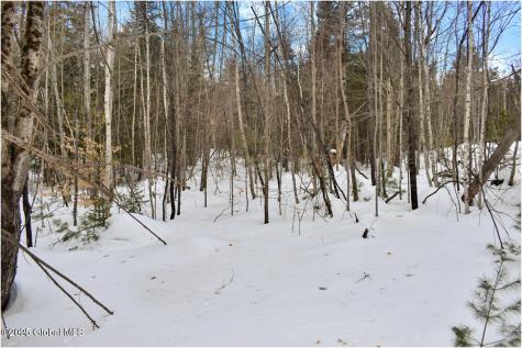 L86 Highview Lane Wevertown NY 12886