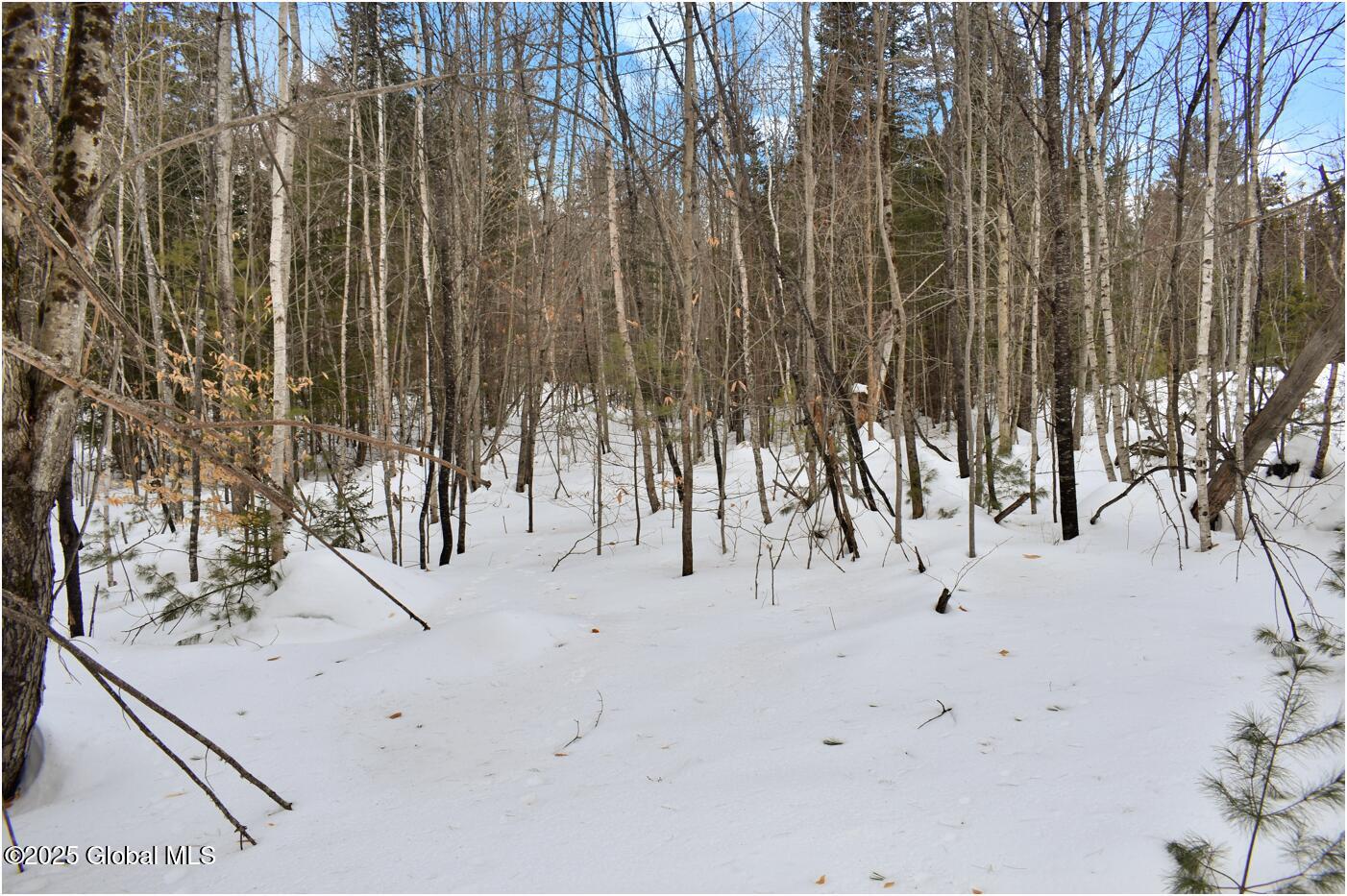L86 Highview Lane Wevertown NY 12886