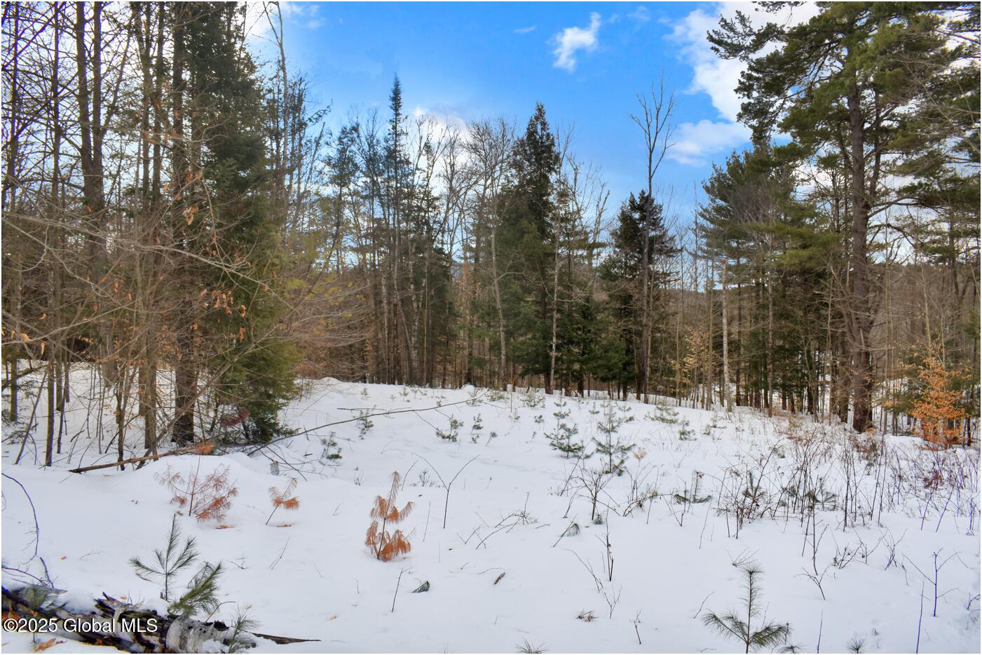 L86 Highview Lane Wevertown NY 12886