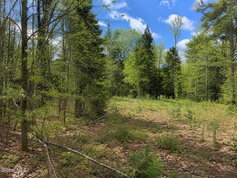 L86 Highview Lane Wevertown NY 12886