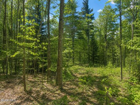 L86 Highview Lane Wevertown NY 12886