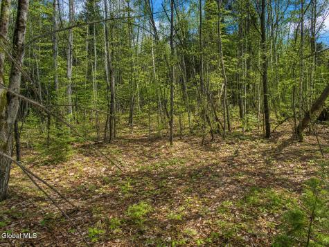 L86 Highview Lane Wevertown NY 12886