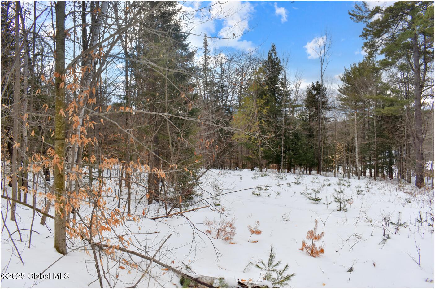 L86 Highview Lane Wevertown NY 12886