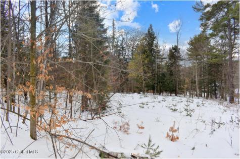 L86 Highview Lane Wevertown NY 12886