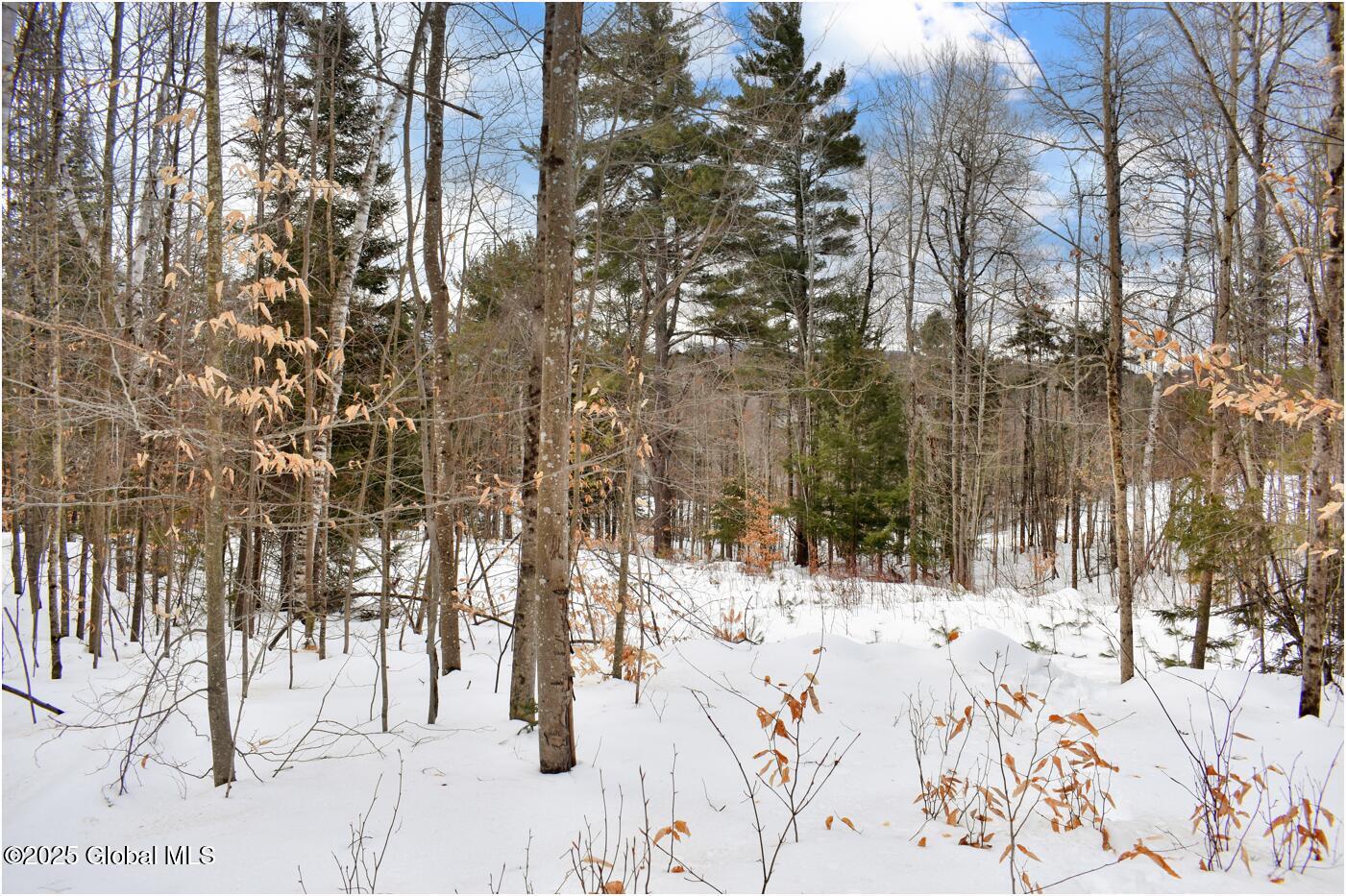L86 Highview Lane Wevertown NY 12886