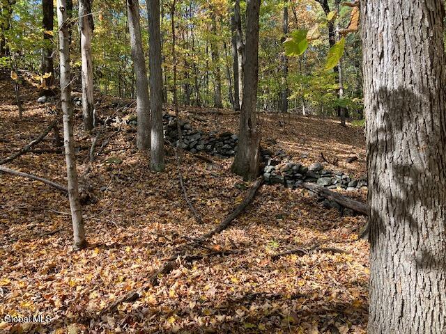 L5 Burden Lake Road Sand Lake NY 12018
