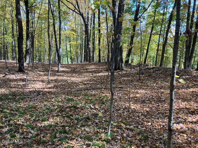 L5 Burden Lake Road Sand Lake NY 12018