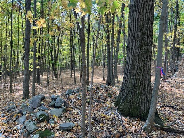 L5 Burden Lake Road Sand Lake NY 12018