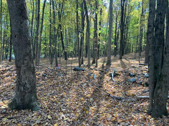 L5 Burden Lake Road Sand Lake NY 12018
