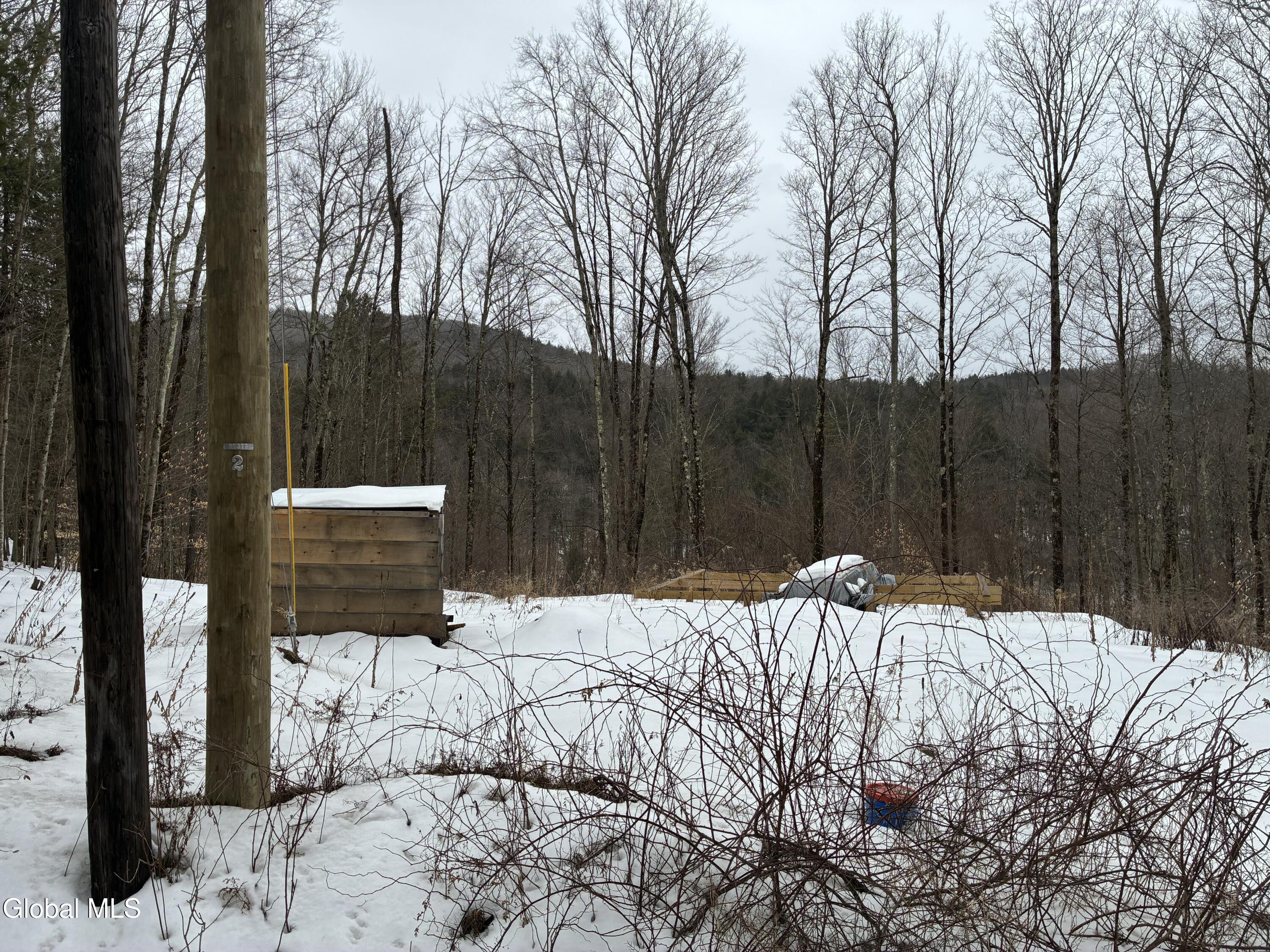 38 Hill Hollow Rd Road Petersburgh NY 12138