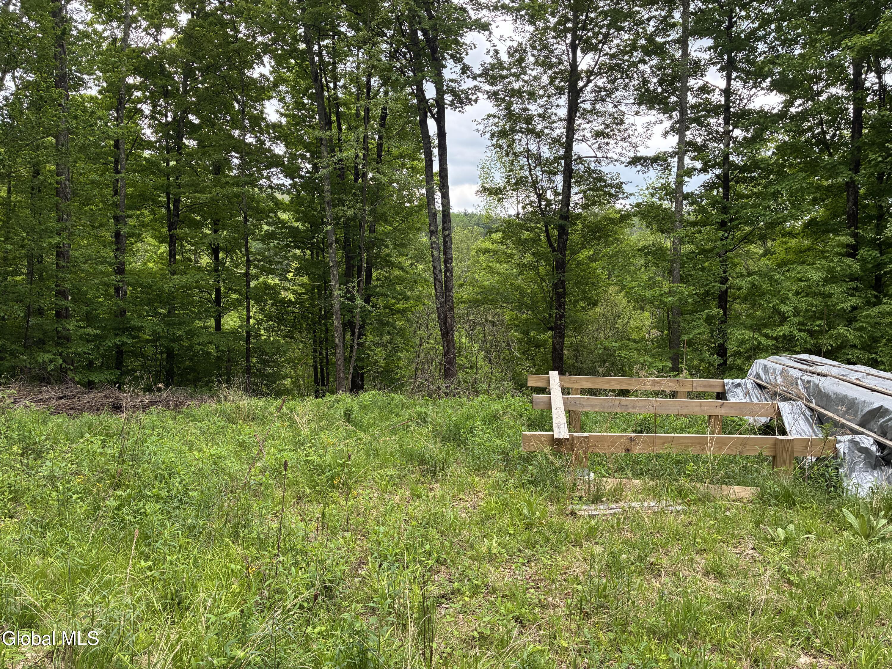 38 Hill Hollow Rd Road Petersburgh NY 12138
