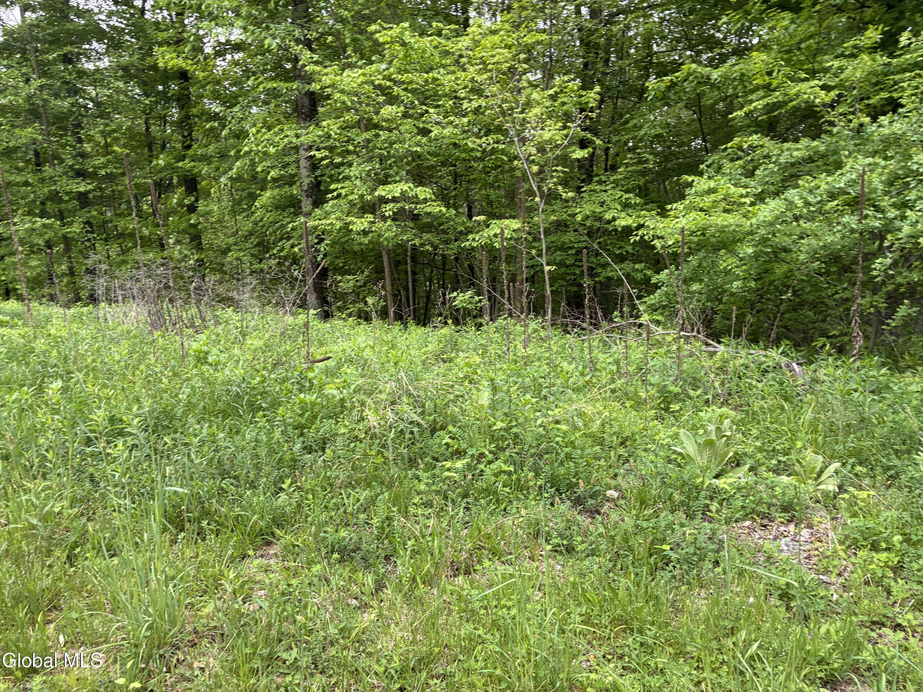 38 Hill Hollow Rd Road Petersburgh NY 12138