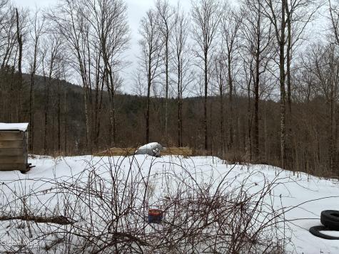 38 Hill Hollow Rd Road Petersburgh NY 12138