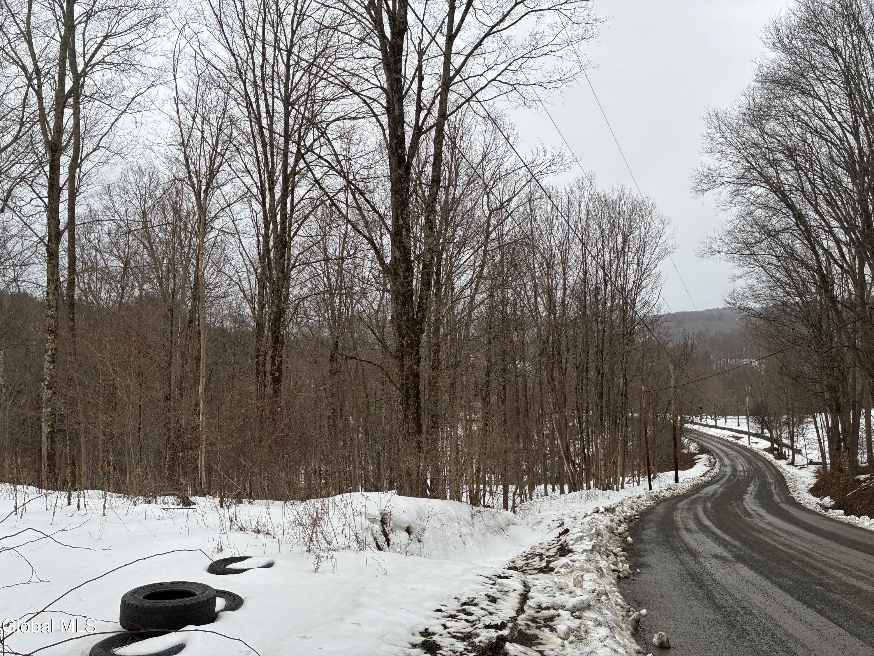 38 Hill Hollow Rd Road Petersburgh NY 12138