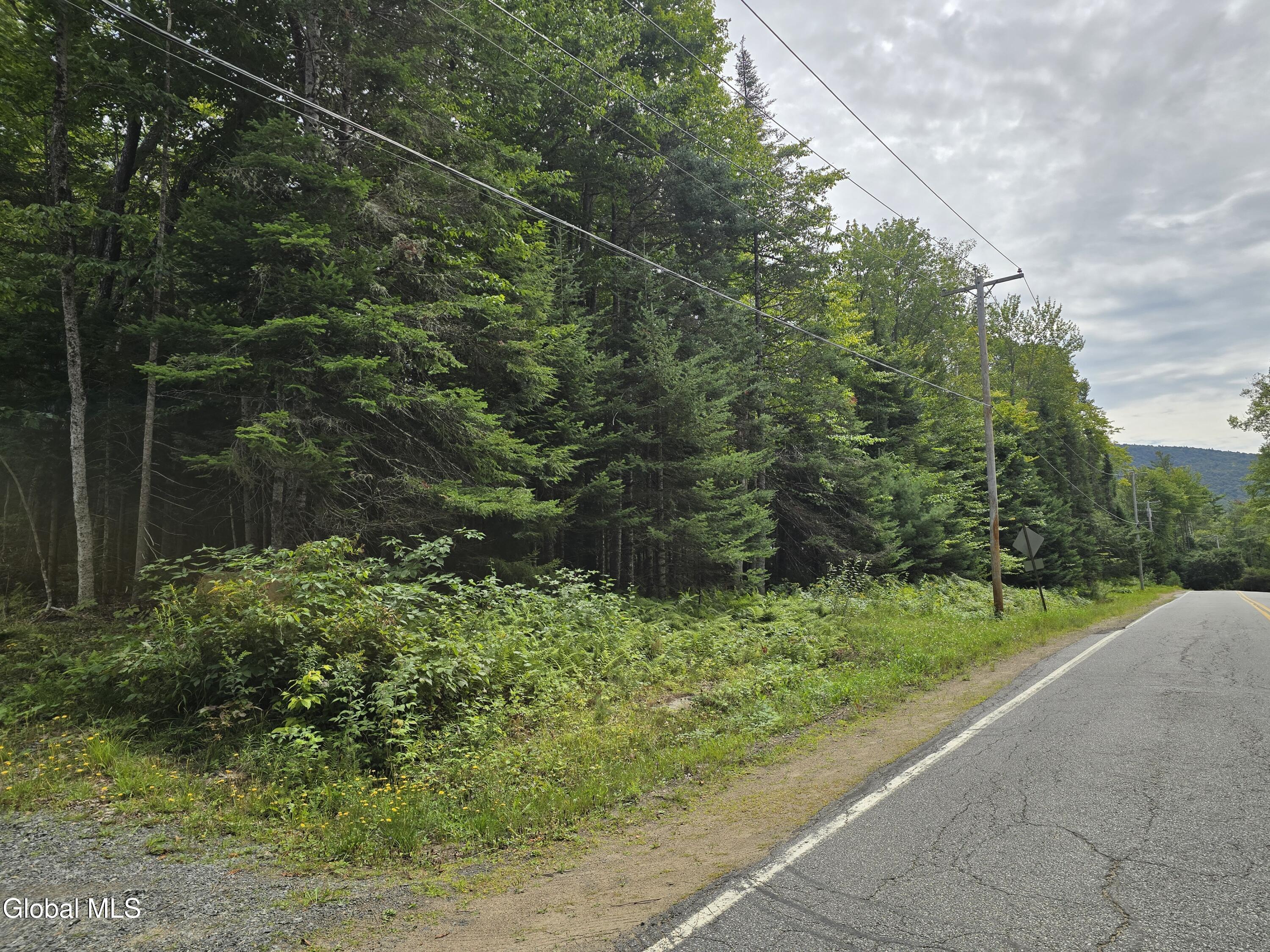 608 S Shore Road Speculator NY 12164