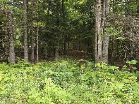 608 S Shore Road Speculator NY 12164