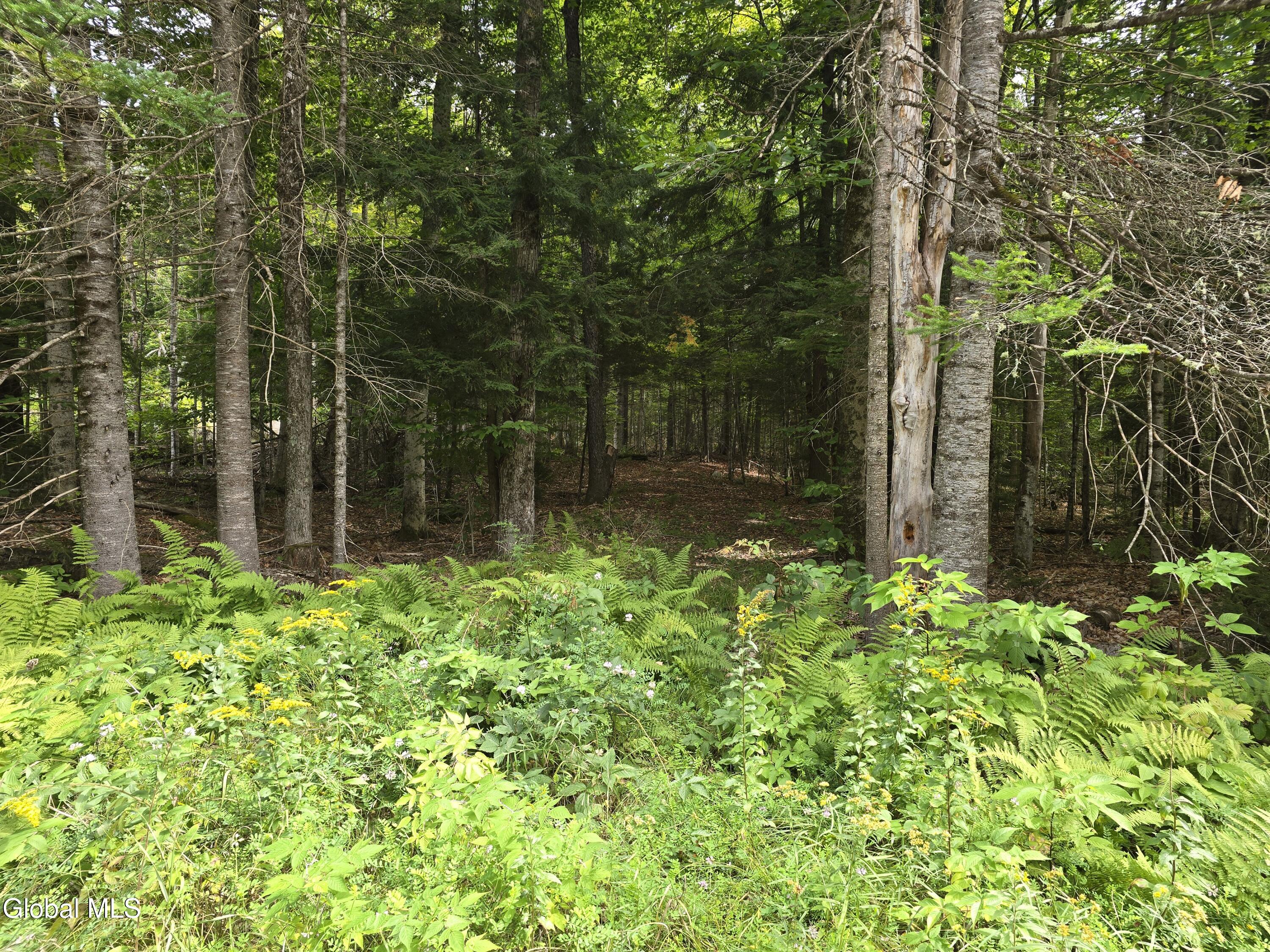 608 S Shore Road Speculator NY 12164