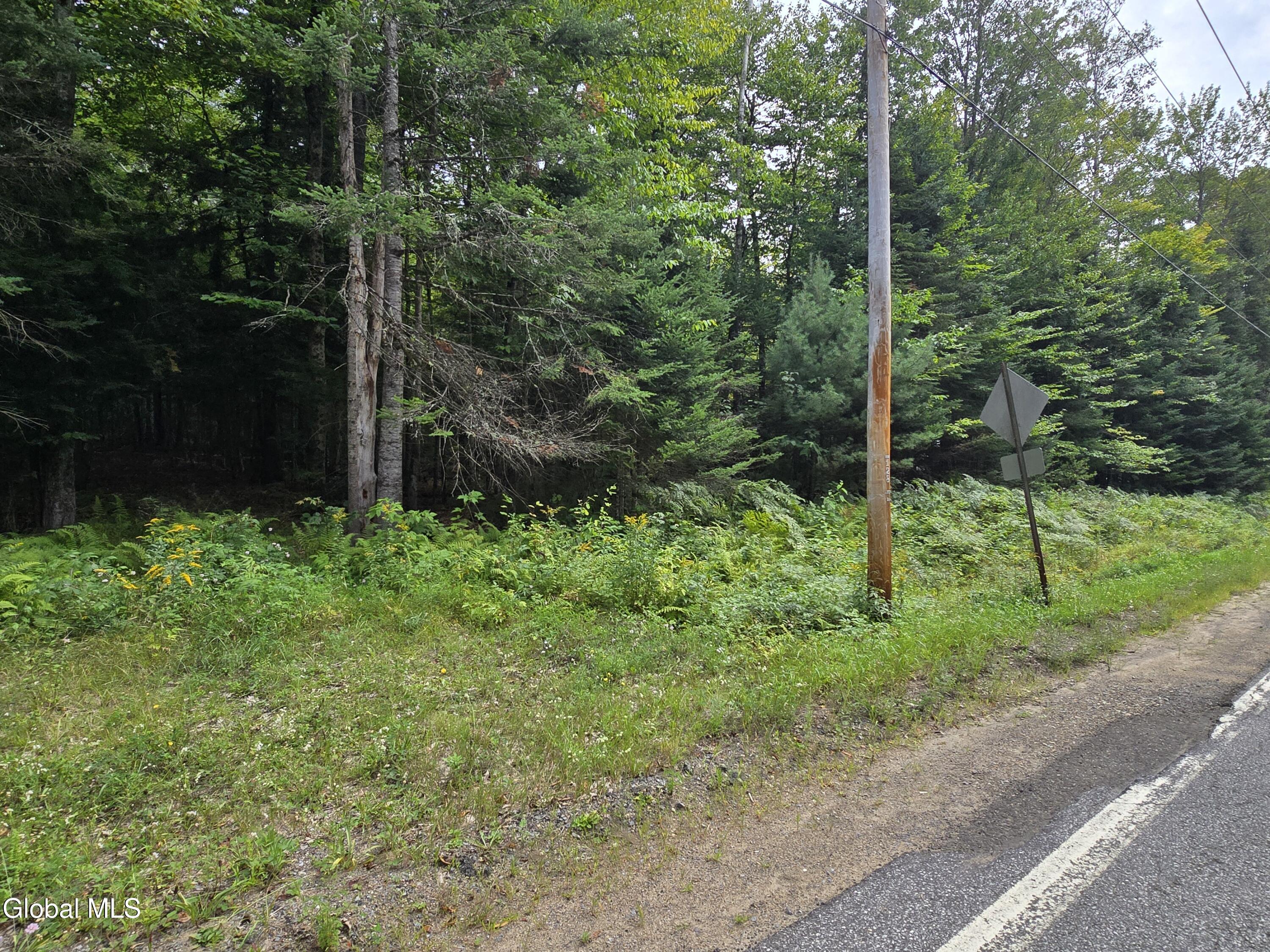 608 S Shore Road Speculator NY 12164