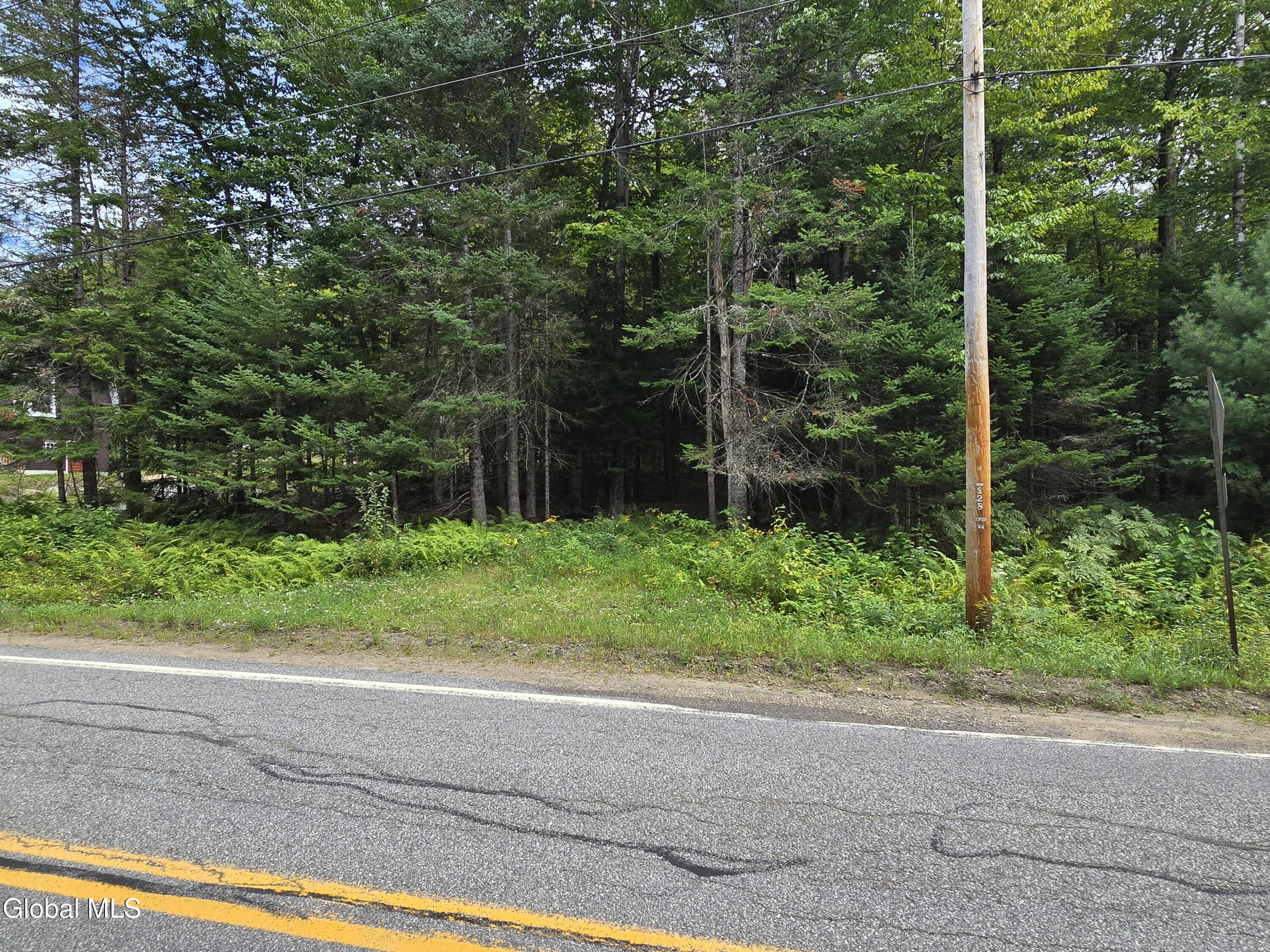 608 S Shore Road Speculator NY 12164