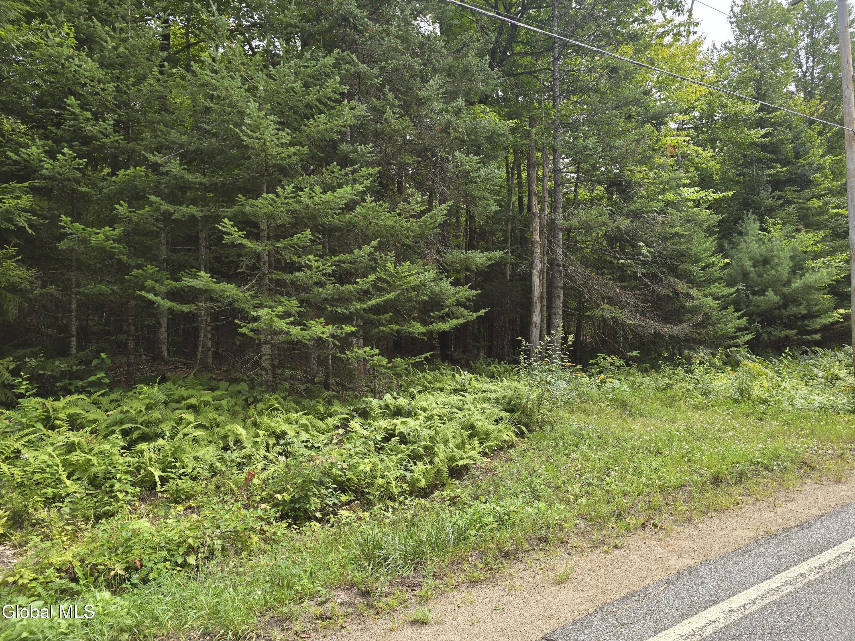 608 S Shore Road Speculator NY 12164