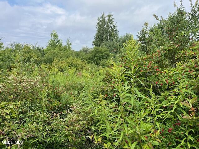L14.411 01 Ennis Road Schenectady NY 12306