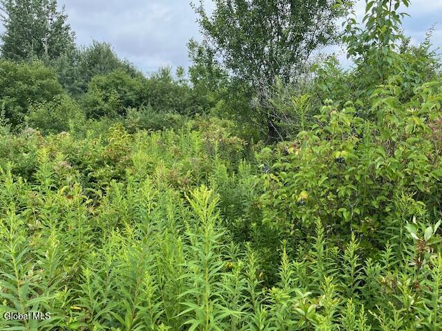 L14.411 01 Ennis Road Schenectady NY 12306