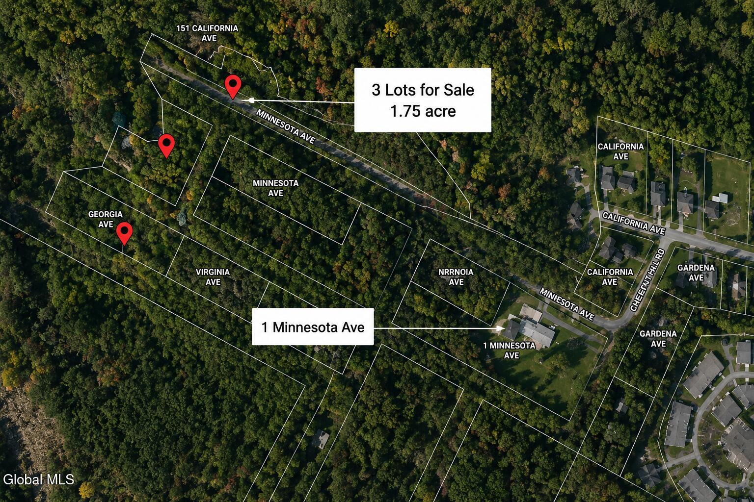 L1 Georgia Avenue Rensselaer NY 12144