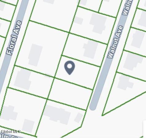 L38 03 Walnut Avenue Schenectady NY 12306