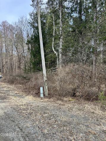 L6.34 Weaver Dam Road Petersburgh NY 12138