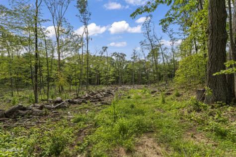 232 Woodin Road Clifton Park NY 12065