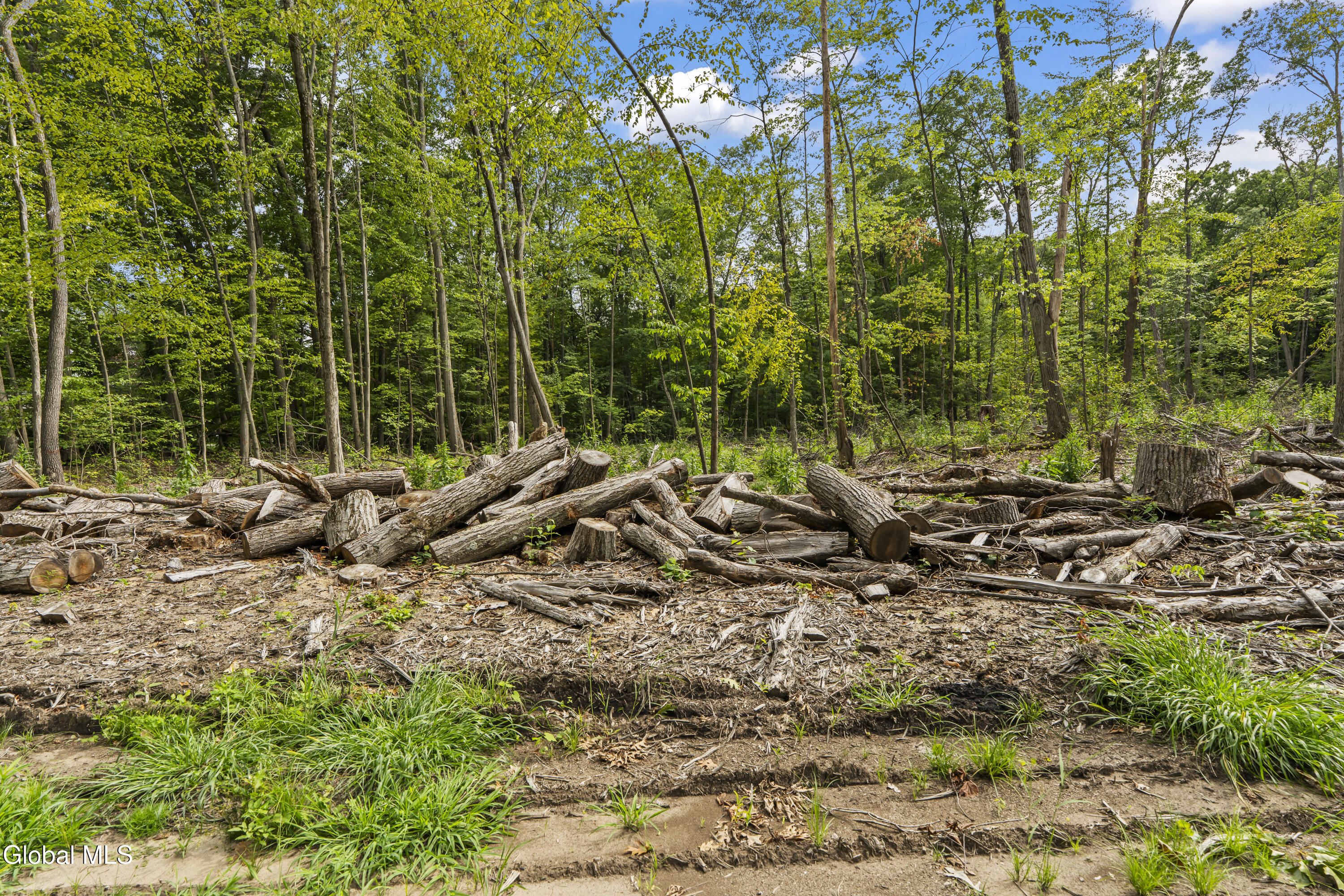 232 Woodin Road Clifton Park NY 12065