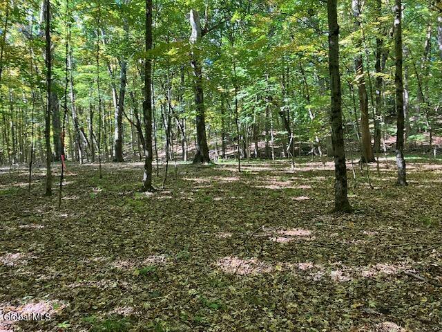 L6 Burden Lake Road Averill Park NY 12018