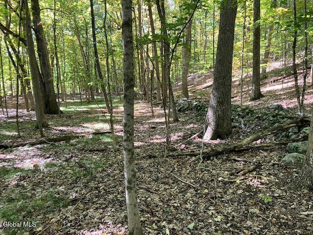 L6 Burden Lake Road Averill Park NY 12018