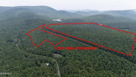 L50 Gilmantown Road Wells NY 12190