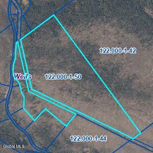 L50 Gilmantown Road Wells NY 12190