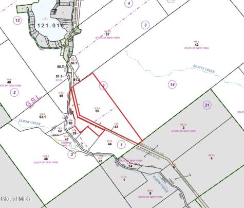 L50 Gilmantown Road Wells NY 12190