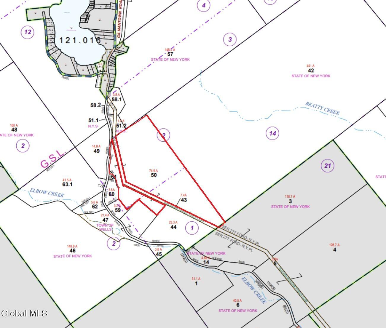 L50 Gilmantown Road Wells NY 12190