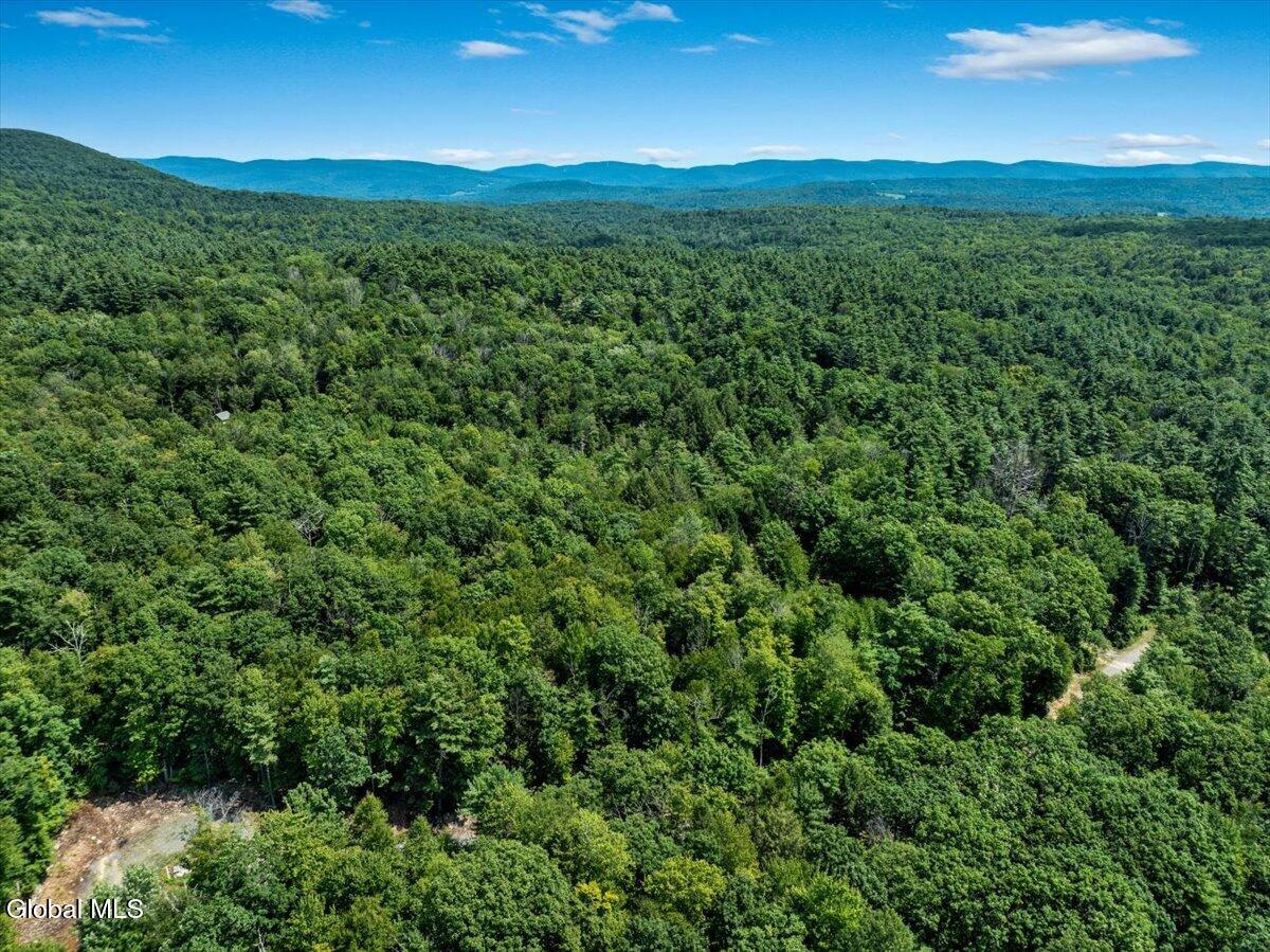 10 Jasmine Road Stephentown NY 12168