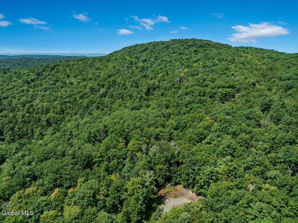10 Jasmine Road Stephentown NY 12168