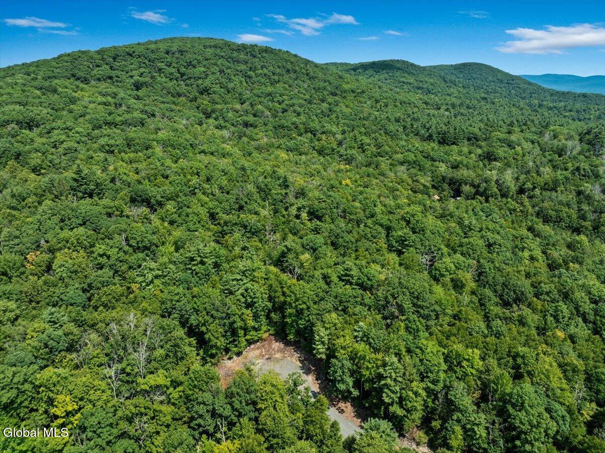 10 Jasmine Road Stephentown NY 12168