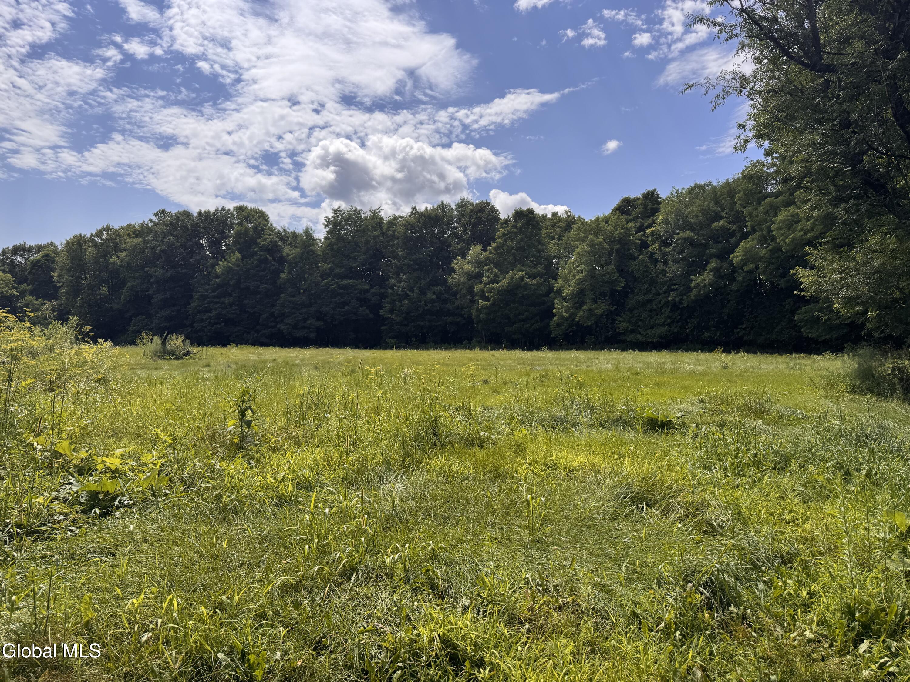 19 Porter Mill Road Crown Point NY 12928