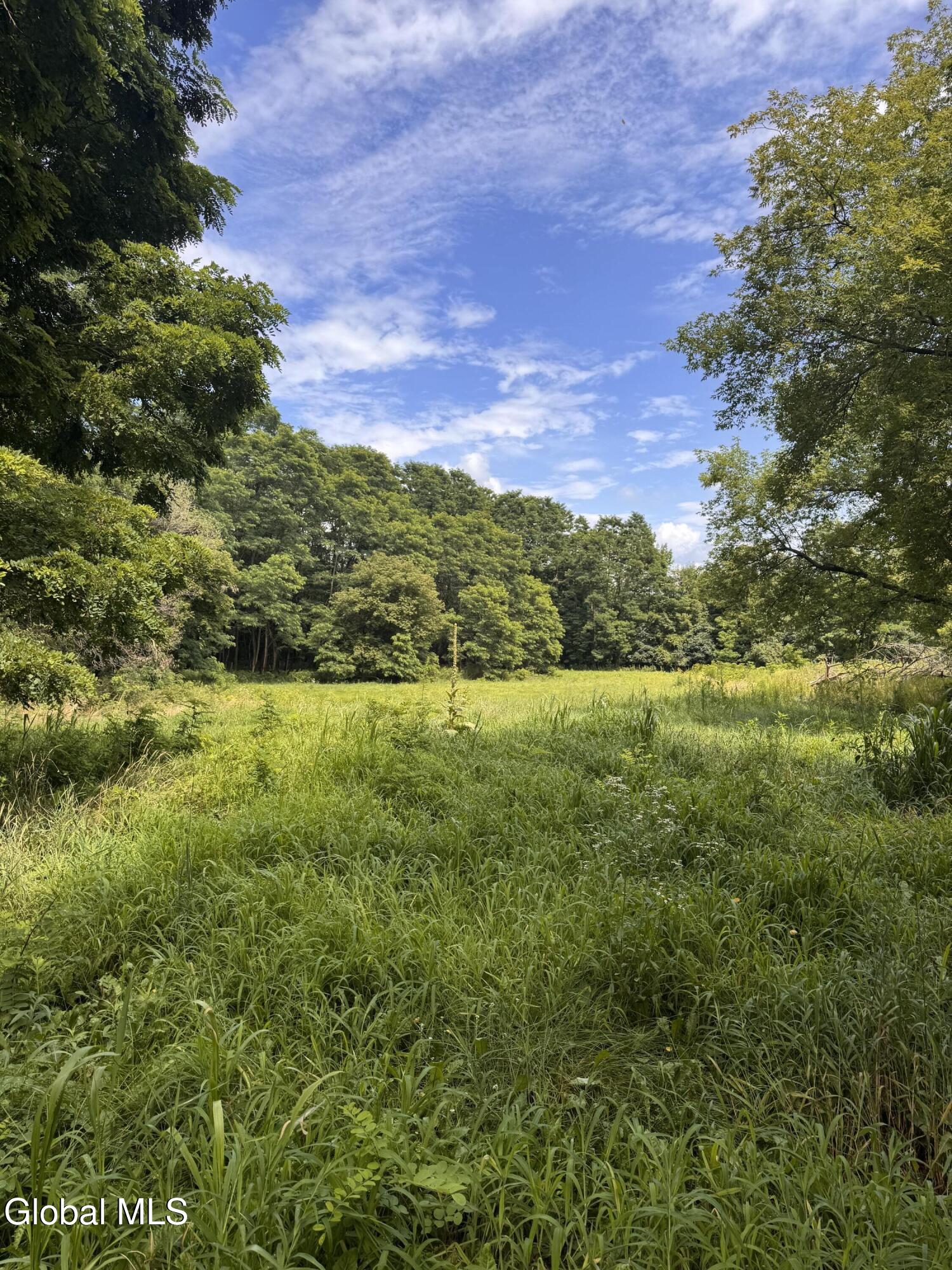 19 Porter Mill Road Crown Point NY 12928