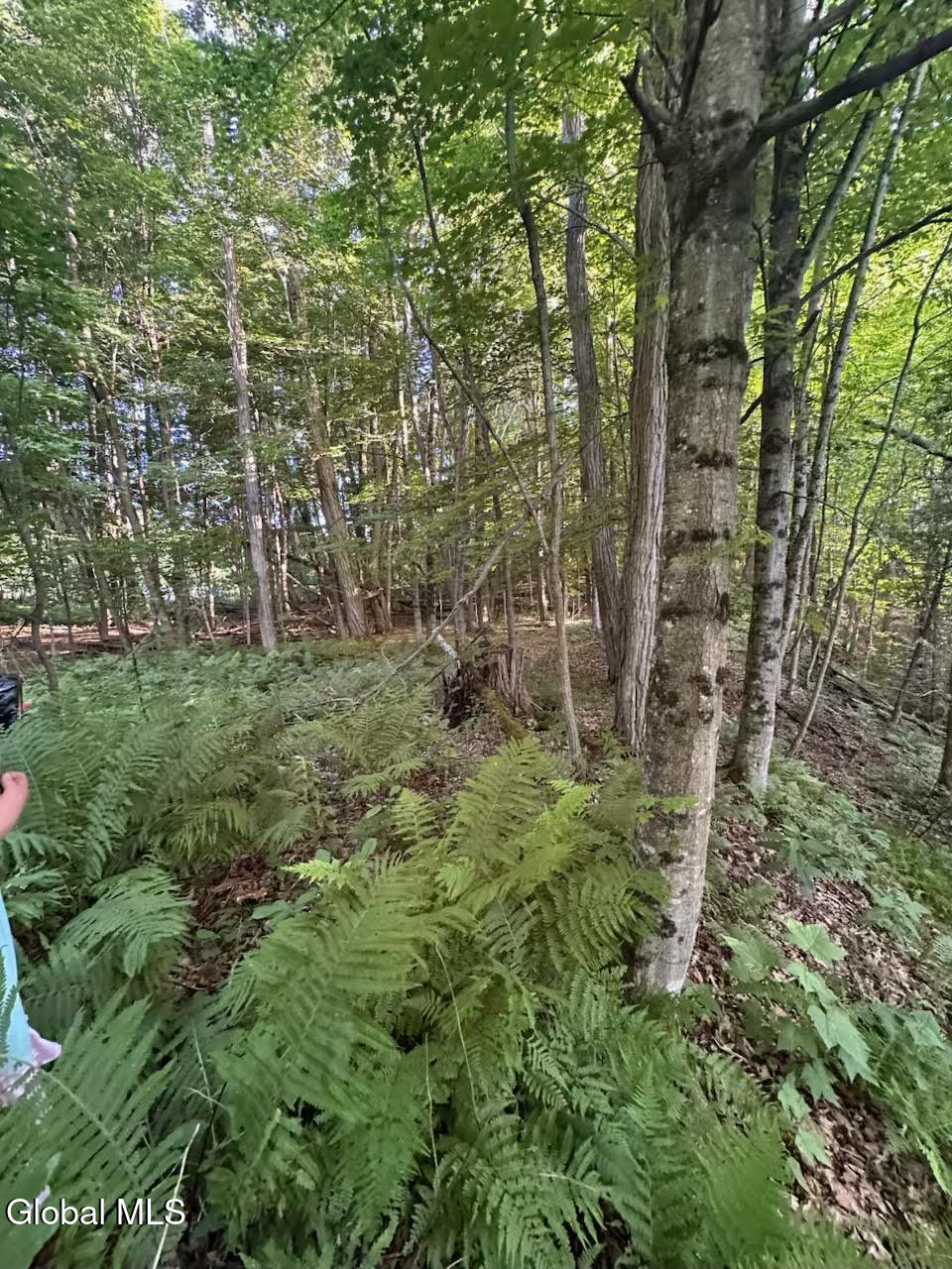 19 Porter Mill Road Crown Point NY 12928